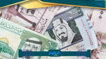 «تحديث مباشر» سعر الريال السعودي مقابل الجنيه السوداني اليوم الثلاثاء 15 يوليو 2025 هل يشهد تغيرات مهمة؟